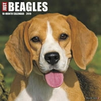 Csak Beagles Fali Naptár