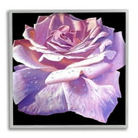 Stupell Industries buja rózsaszín rózsa szirmok virágvíz cseppek festmény szürke keretes művészet nyomtatott fali művészet,