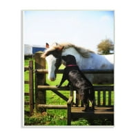 Stupell Industries színes mezőgazdasági ló és kutya állati fotófal plakk művészet Jim falusi