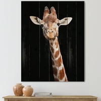 Designart 'Közeled egy zsiráf portréja a fekete v' parasztház nyomtatás természetes fenyőfán